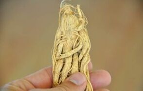 Herbs to increase a member